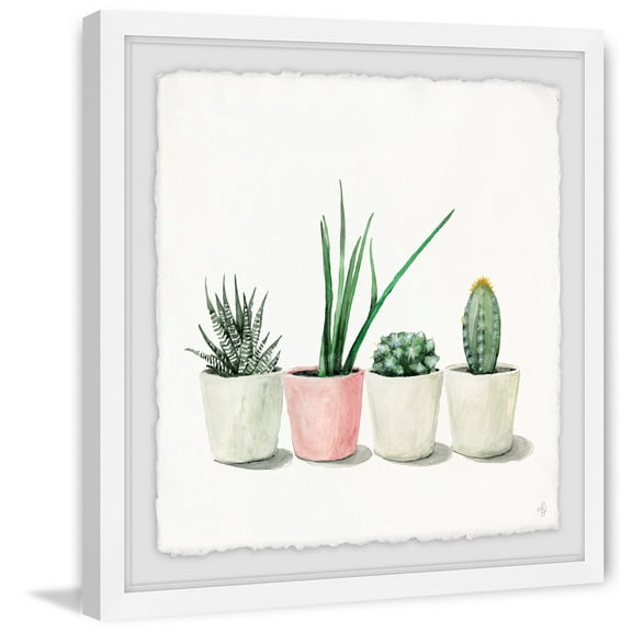Potted Succulents Framed Painting Print