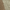 Taupe/Light Brown, variant on SAFAVIEH Natural Fiber Forrester Solid Runner Rug, Maize/Wheat, 2'6" x 6'