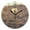 Black, variant on Flower in Desert Round Wall Clock Silent Analog Battery Operated Black Pointer Home Decor 9.84" Diameter