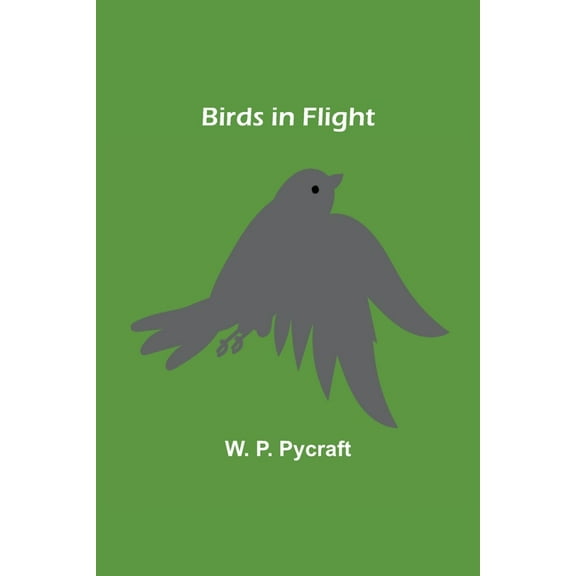 Birds in Flight, (Paperback)
