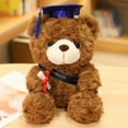 thumbnail image 1 of Muñeco de oso con sombrero de médico Muñeco de peluche de oso médico Muñeco de oso de graduación, 1 of 6
