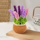 thumbnail image 1 of Decoración de plantas de crochet hechas a mano | Adorno de escritorio tejido multicolor artesanal para el hogar y la oficina | Tallos ajustables, regalo hipoalergénico para profesores, madres y, 1 of 7