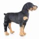 thumbnail image 2 of Knee Dislocation, Arthritis - Keeps Joints Warm - Extra Support - Reduces Pain And Inflammation, 2 of 5