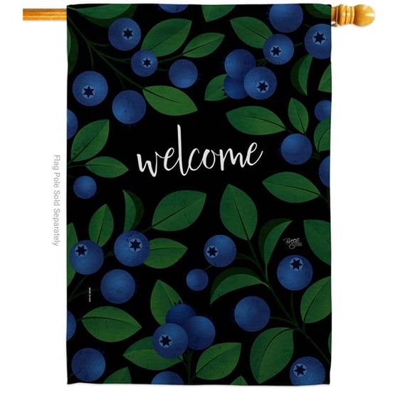 Breeze Decor  28 x 40 in. Welcome Blueberrie Food Fruit House Flag with Double-Sided Decorative Vertical Flags