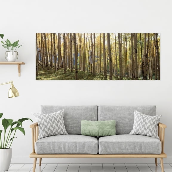 Yosemite 'Sunlit Colorado Trees' Glass Photographic Print in Multi-Color