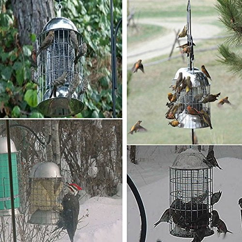 Skinny Squirrel Grackle And Squirrel Proof Stainless Steel Bird