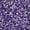 DB1881 - Silk Inside Dyed Dark Orchid AB, variant on Miyuki Delica Seed Beads – Size 11/0, DB0059, Lined Light Violet AB, 7.2 g, Approx. 1440 Pcs