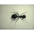 thumbnail image 2 of Solar Ant Baby Electronic Pet Toy, 2 of 3