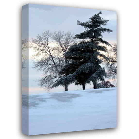 Tammy Putman 13x18 Gallery Wrapped Canvas Wall Art Titled - Tree in Snow II
