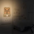 thumbnail image 2 of Yayeee 2-Pack Plug in LED Night Lights with Light Sensors Motion Detectors, Retro Abstract Eagle, 2 of 7