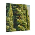 thumbnail image 2 of Cypress in Moonlight - Canvas, 2 of 10