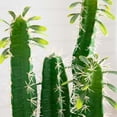 thumbnail image 5 of Nearly Natural Cactus Artificial Plant with Planter - 2.25' - Green, 5 of 7