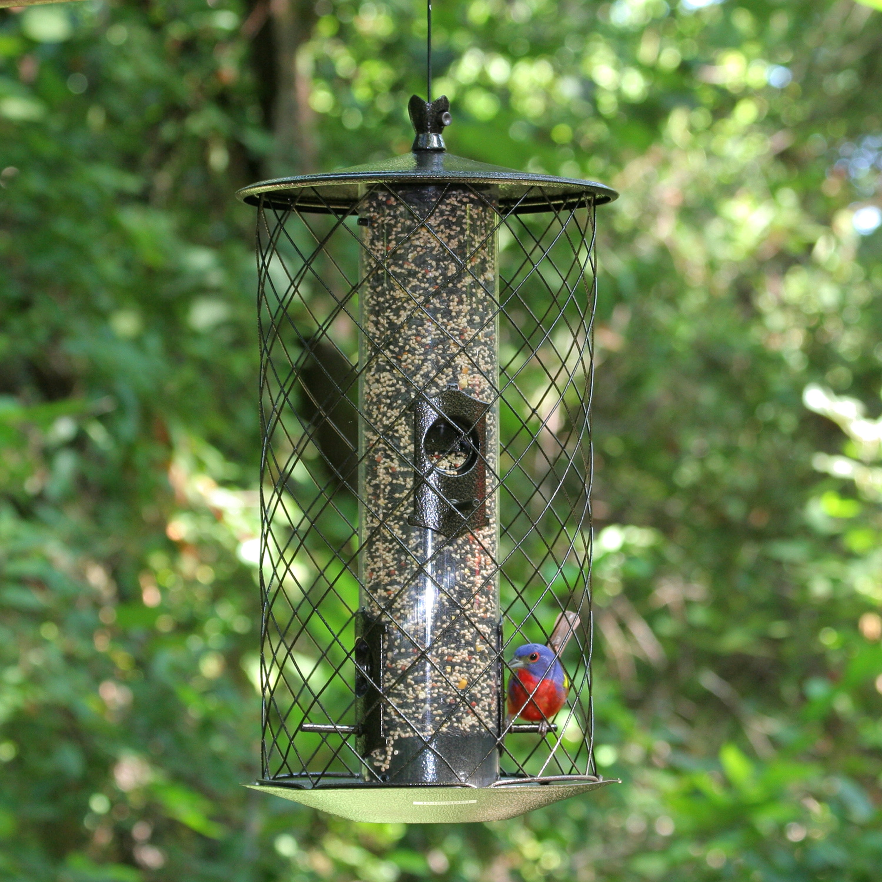 Outdoor Seasons 3 Lb. Capacity Preserve Bird Feeder