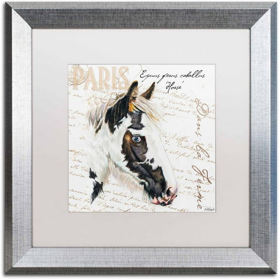 Trademark Fine Art "Dans la Ferme Rooster I" Canvas Art by Jennifer Redstreake White Matte, Silver Frame