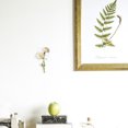 thumbnail image 1 of unbranded 10Ud Exhibidor Vertical De Plantas Colgantes Acrílico Para De Hogar Y Oficina, 1 of 8