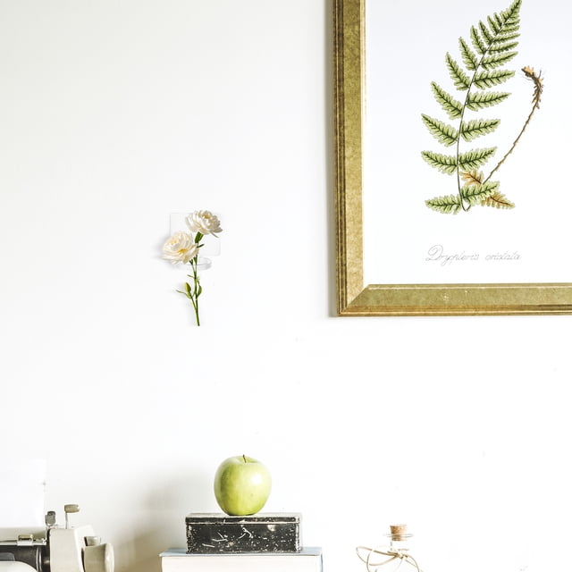 unbranded 10Ud Exhibidor Vertical De Plantas Colgantes Acrílico Para De Hogar Y Oficina