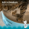 thumbnail image 3 of Catstages Scratch & Cuddle 2 en 1 Chat Bol de Lit à Gratter, 3 of 9