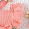 thumbnail image 4 of Kids Toddler Baby Girls Spring Summer Floral Ruffle Dress Clothing, 4 of 4