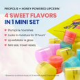 thumbnail image 2 of Miniset de mantequilla para labios CNP Propolis Lipcerin Travel 4 Flavors, 2 of 8