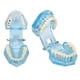 thumbnail image 5 of Modelo de Dientes Patológico Dental Desmontable ANGGREK Mandíbula Transparente Azul, 5 of 8