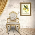 thumbnail image 3 of Cuvier, Georges 15x18 Gold Ornate Wood Framed with Double Matting Museum Art Print Titled - Cuvier Exotic Birds VII, 3 of 4