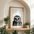 thumbnail image 4 of Baby Ow - Photography Black and White Wildlife Animal Bird Nature Portrait Oak Framed Wall Art Print 24 x 36 inches, 4 of 59