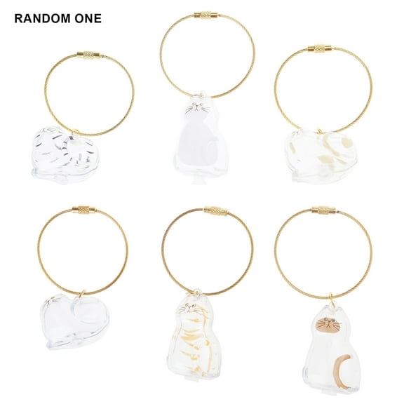 Pet Hair Memorial Keepsakes Box with Rope Keychain Pendant Cats Furs Collection Container Decorative Acrylic Case Gift