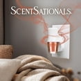 thumbnail image 2 of Scentsationals Plug in Air Freshener Starter Set – Swivel Plug Fragrance Oil Diffusers & 2 Long Lasting Scent Refills - Feelin' Cozy, 2 of 5