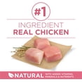 thumbnail image 4 of Purina ONE SmartBlend Digestive Health Formula Chicken Dry Dog Food, 9.5-kg bag, 4 of 5