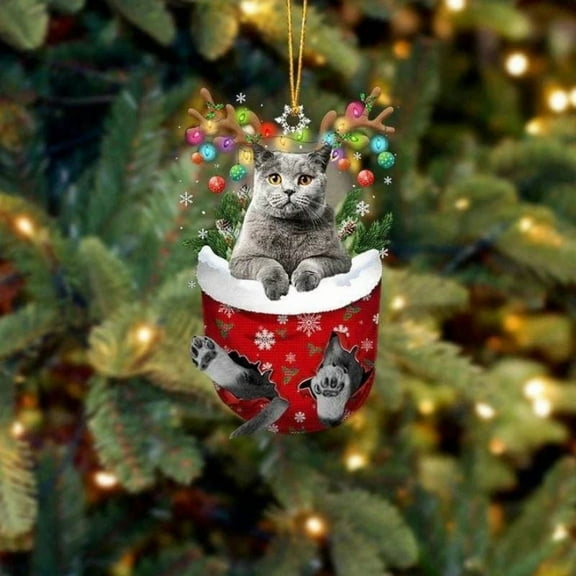 Acrylic 2D FLAT Cat In Snow Pocket Christmas Ornament 4