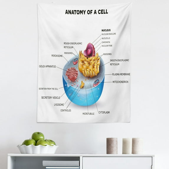 Science Tapestry, Cell Anatomy Microscopic Components Colorful Vivid Microbiology, Fabric Wall Hanging Decor for Bedroom Living Room Dorm, 5 Sizes, Pale Blue Purple Apricot, by Ambesonne