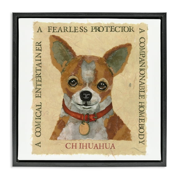 Stupell Industries Fun Chihuahua Pet Phrases Animals Painting Black Floater Framed Canvas Art Print Wall Art, 18 x 18