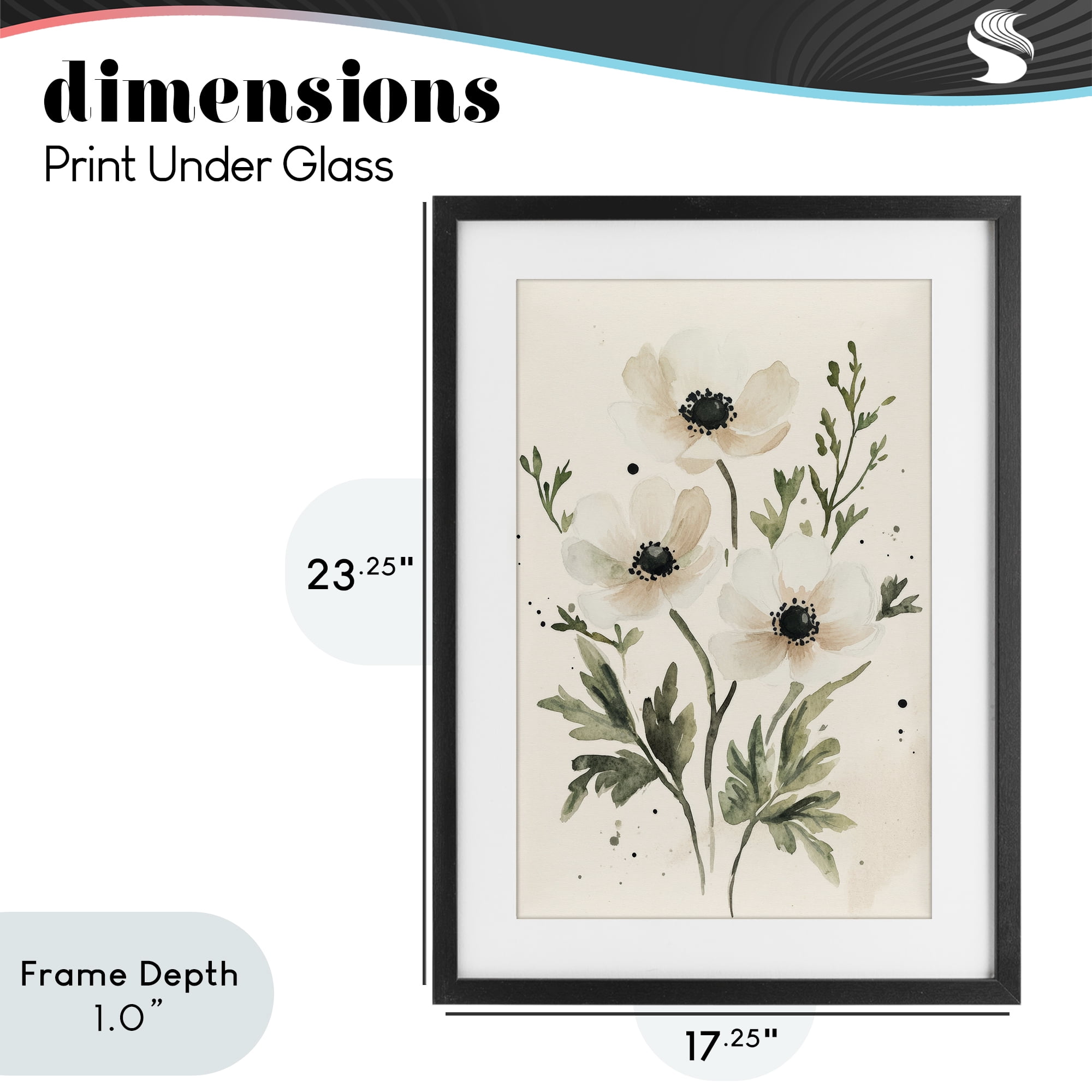 Stupell Industries Soft White Anemone Floral Black Framed Print Under Glass, design by Petal Prints Design