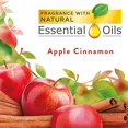 thumbnail image 2 of Air Wick Freshmatic Automatic Spray Refill, Apple Cinnamon, 6Ct, 5.89Oz, Odor Neutralization, Essential Oils, Air Freshener, Packaging May Vary, 2 of 3