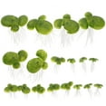 thumbnail image 1 of Fish Tank Plants Pvc 18Pcs 1.6X1.0X0.3In, 1 of 5