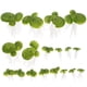 thumbnail image 1 of 18 piezas de plantas flotantes para acuario, plantas para pecera, decoraciones de lenteja de agua falsa, 1 of 7
