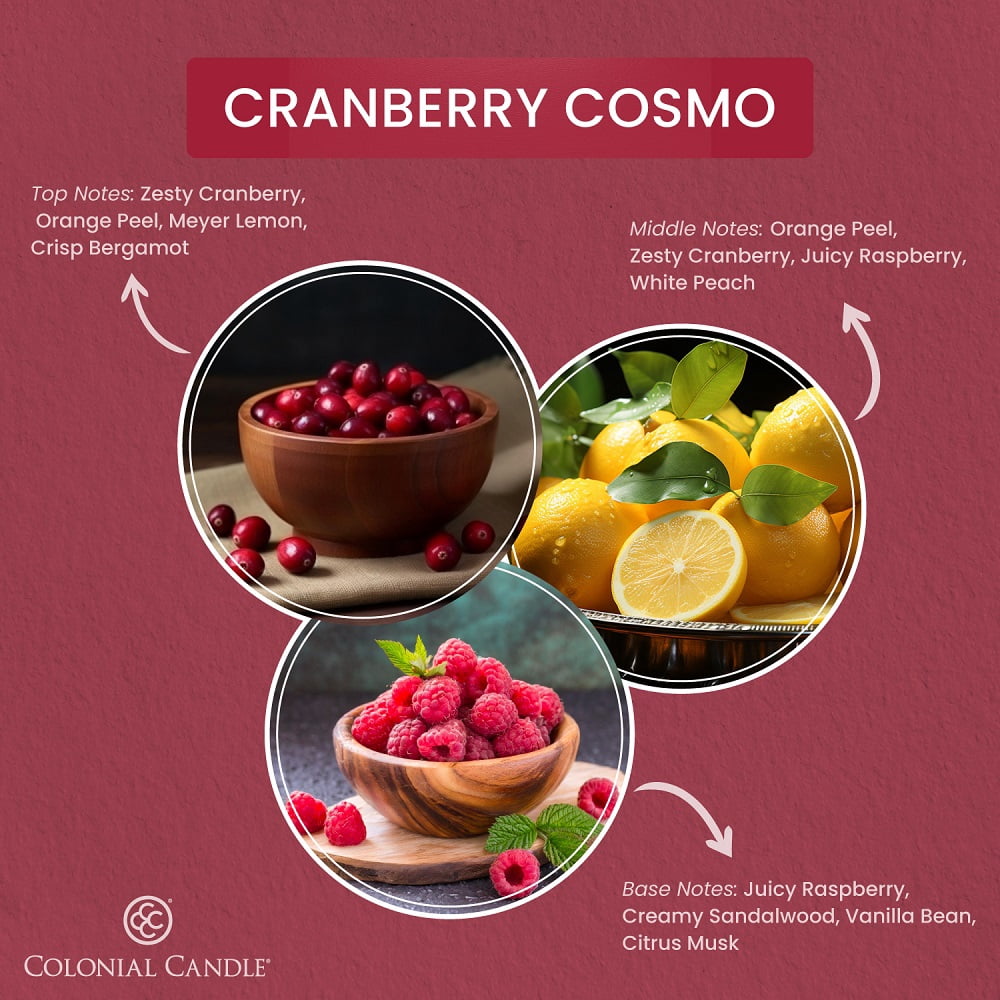 2.75oz Wax Melt Cranberry Cosmo