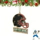 thumbnail image 1 of Adorno de casco de fútbol americano de acrílico | Colgante deportivo plano 2D para decoración del árbol de Navidad y regalos en efectivo | Regalo sorpresa para niños y familiares, 1 of 1