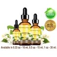 thumbnail image 5 of Loción Fresh BALLS (paquete de 4) | Crema calmante anti-rozaduras para hombres en polvo, desodorante e higiene para el área de la ingle, 3.4 fl oz, 5 of 5