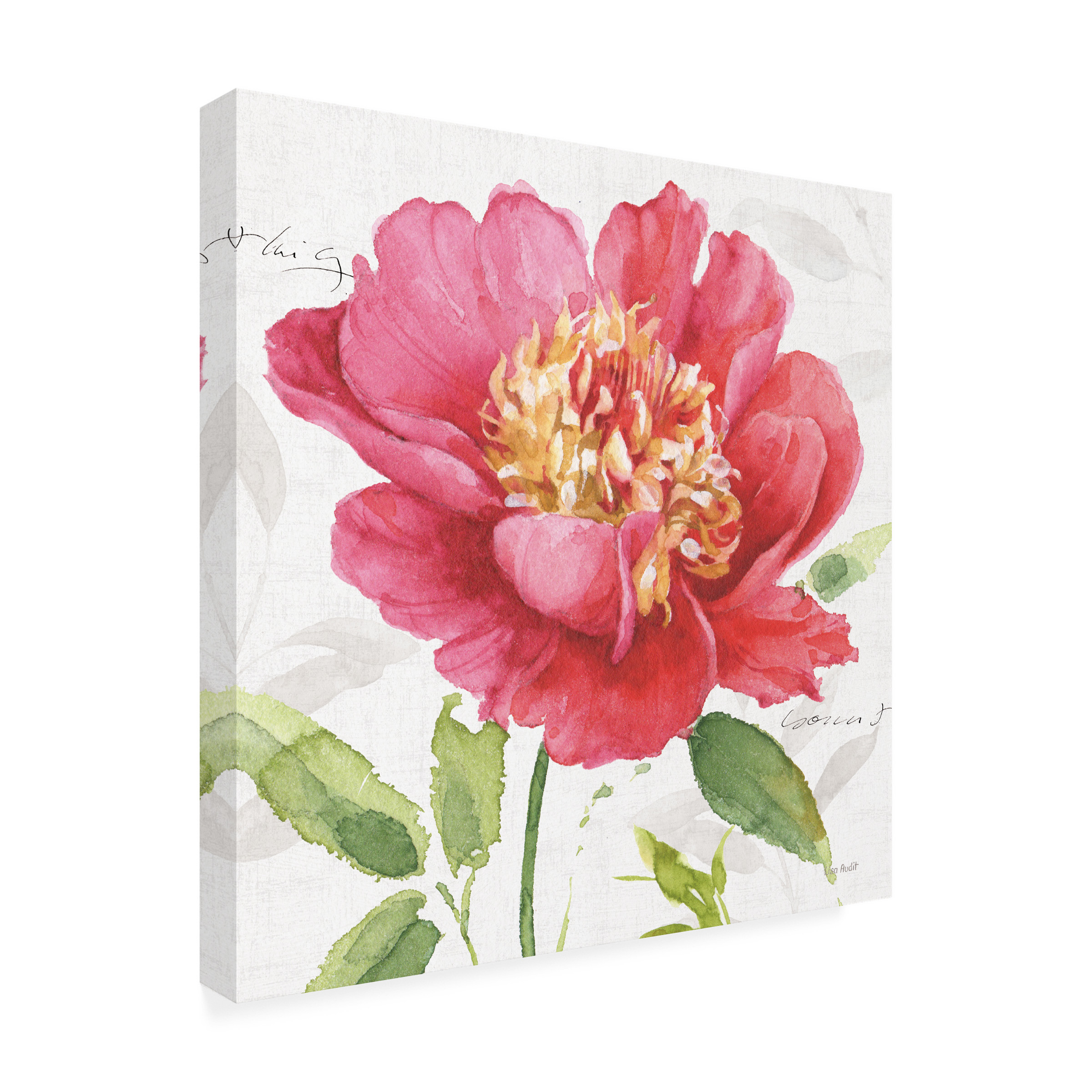 Trademark Fine Art 'Pink Garden II' Canvas Art by Lisa Audit