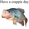 thumbnail image 3 of CafePress - Have A Crappie Day Light T Shirt - Men's Classic Graphic T-Shirt, 3 of 4