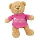 Photo 1 of Baby Gift Idea G320154 Gund Im The Big Sister Teddy Bear