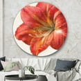 thumbnail image 3 of Designart 'Vivid Red Amaryllis' Traditional Metal Circle Wall Art, 3 of 3