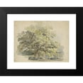 thumbnail image 2 of George Andries Roth 24x19 Black Modern Framed Museum Art Print Titled - Tree Study (1819 - 1887), 2 of 5