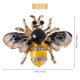 thumbnail image 4 of Broche de cristal de Moda Yashi abeja de Moda Multicolor, 4 of 5