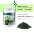 thumbnail image 2 of Alga Spirulina, 2 of 4