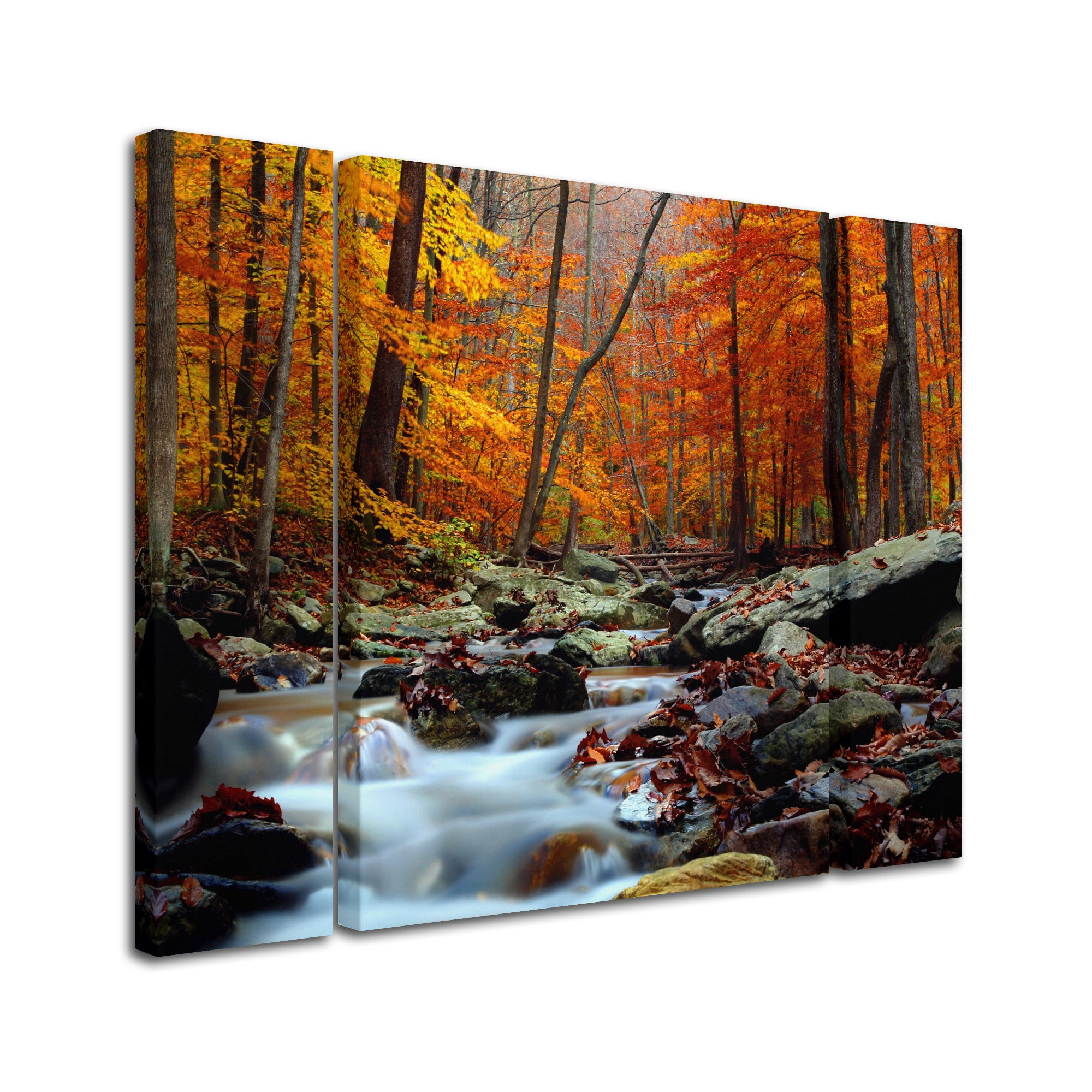 Trademark Fine Art "Ultimate Truth" Canvas Art by CATeyes Three Panel Set