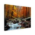 thumbnail image 3 of Trademark Fine Art "Ultimate Truth" Canvas Art by CATeyes Three Panel Set, 3 of 4