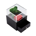 thumbnail image 2 of Mialoley Valentines Gift Teddy Bear Flower Jewelry Box with Small Drawer, 2 of 4