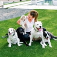 thumbnail image 4 of Eliminador de manchas y olores de mascotas My Pet Peed 2 x 946 ml, 4 of 5